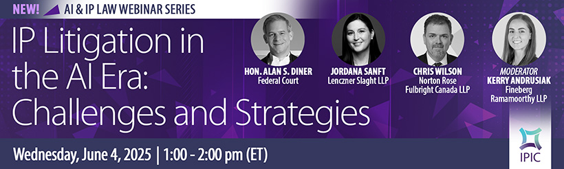 2025 AI &amp; IP Litigation speakers EN