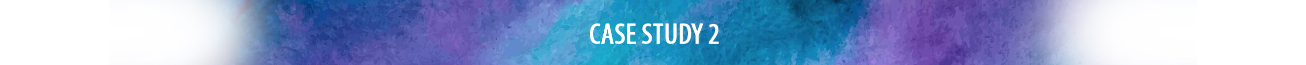 Case Study 2 Banner EN