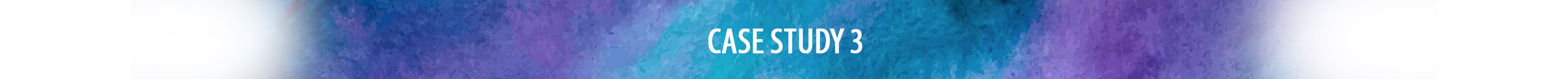 Case Study 3 Banner EN
