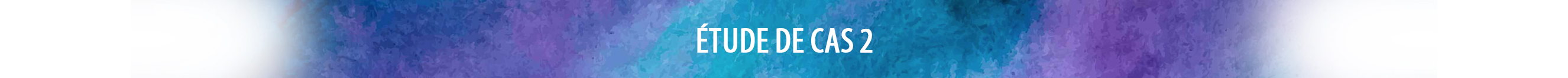 Case Study 2 Banner FR