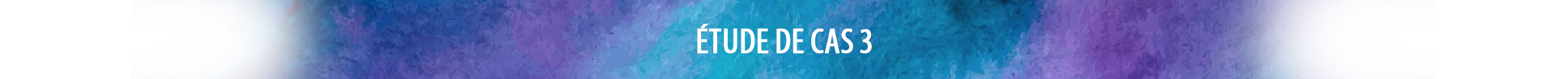 Case Study 3 Banner FR