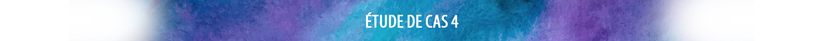 Case Study 4 Banner FR